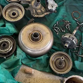 karopga 8skors