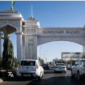 Talkucka Altynasyr gundoga baz