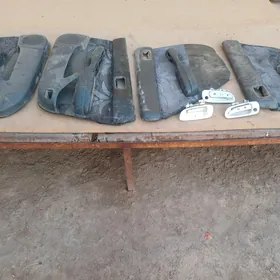 Carina obsiwka, rucka