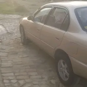 Toyota Corolla 1993