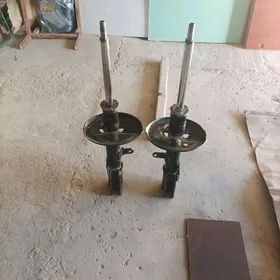 BABYÇKA  AMARTIZATOR.