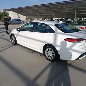 Toyota Corolla 2020