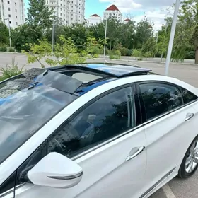 Hyundai Sonata 2010