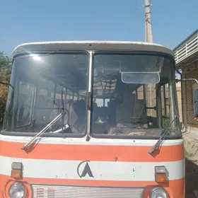 ПАЗ 3203 1989