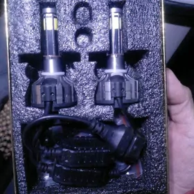 let lampa