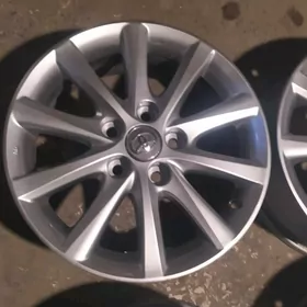 okuz kelle xle disga R16
