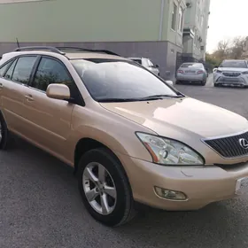 Lexus RX 330 2004