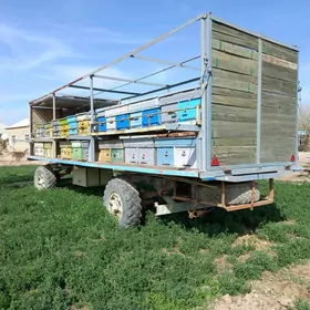 Прицеп, ary prisep