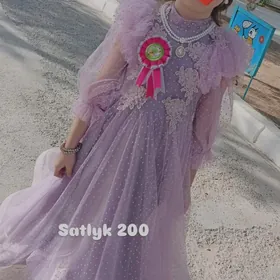 satlyk gyz koynejigi arassa