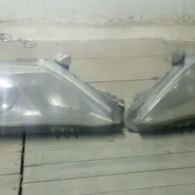 Öküz kele far klimat kantrol