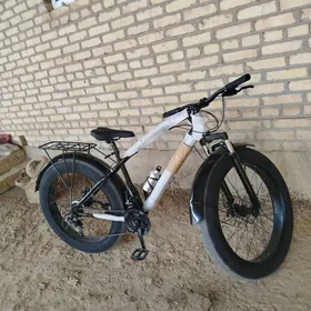 Sportiwny welosiped