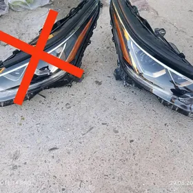 fara haylander limited