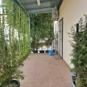 SATLYK SWOBODA BEYIK/ ВЫСОКИЕ