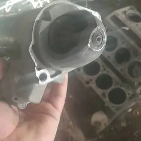 Статыр Valkswagen Audi