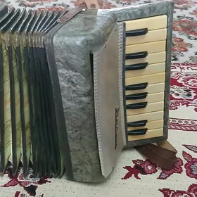 саз гуралы