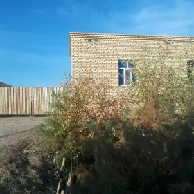 Mellek jay  4 pasilka