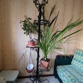 Цветочница