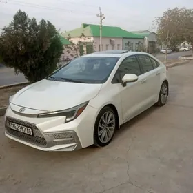 Toyota Corolla 2020