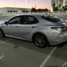 Toyota Camry 2019
