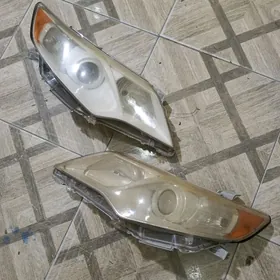 Palta kemri fara