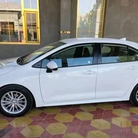 Toyota Corolla 2019