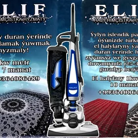 Tamiz haly hyzmaty