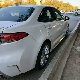 Toyota Corolla 2021