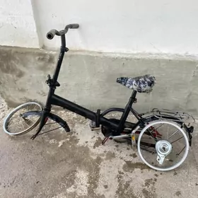 16lyk Yaponski arginal tigir