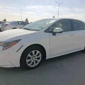 Toyota Corolla 2020