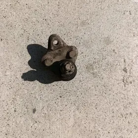 Toyota Corolla şarawoy morda