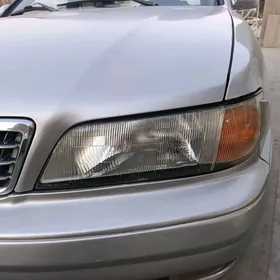 Maxima fara radnoy morda