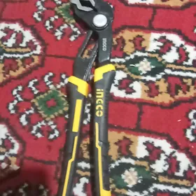 Krakadil atagyz