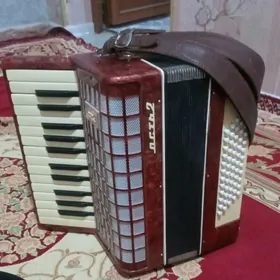 akkordeon