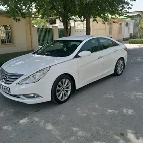 Hyundai Sonata 2010