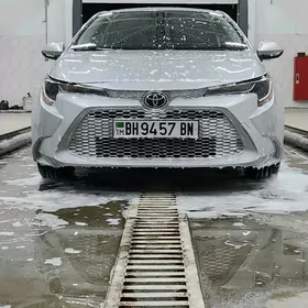Toyota Corolla 2021