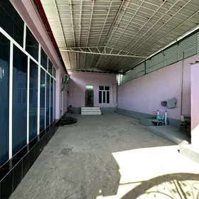 Garadamak arzan plan gyssagly