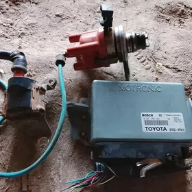 kompyuter trambilyor babina