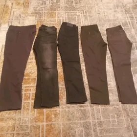 брюки