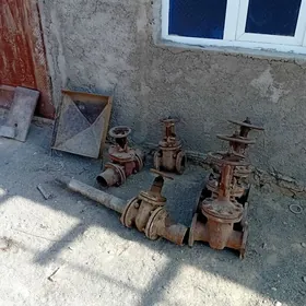 zadvişka krant
