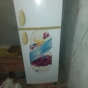 haladinlk