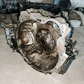 11 haylander karopga razdatka