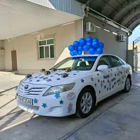 Toyota Camry 2010