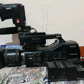 NX50