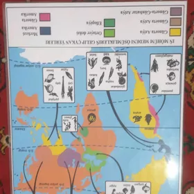 Gorkezme esbaplar