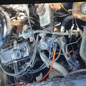 lada morda 99