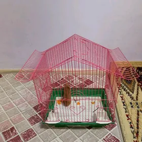 Hamiýak (Hamster erkek)