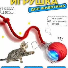 двигательны мячик özü ylgaya