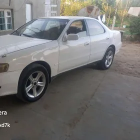 16  mary diska  pokriska