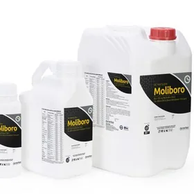 MOLIBORO