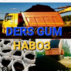 GUM DERS MITI TOPRAK НАВОЗ ГУМ